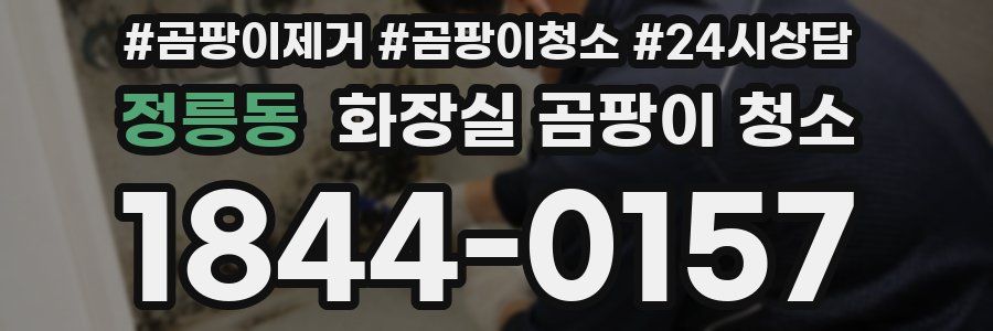 정릉동 화장실 곰팡이 청소