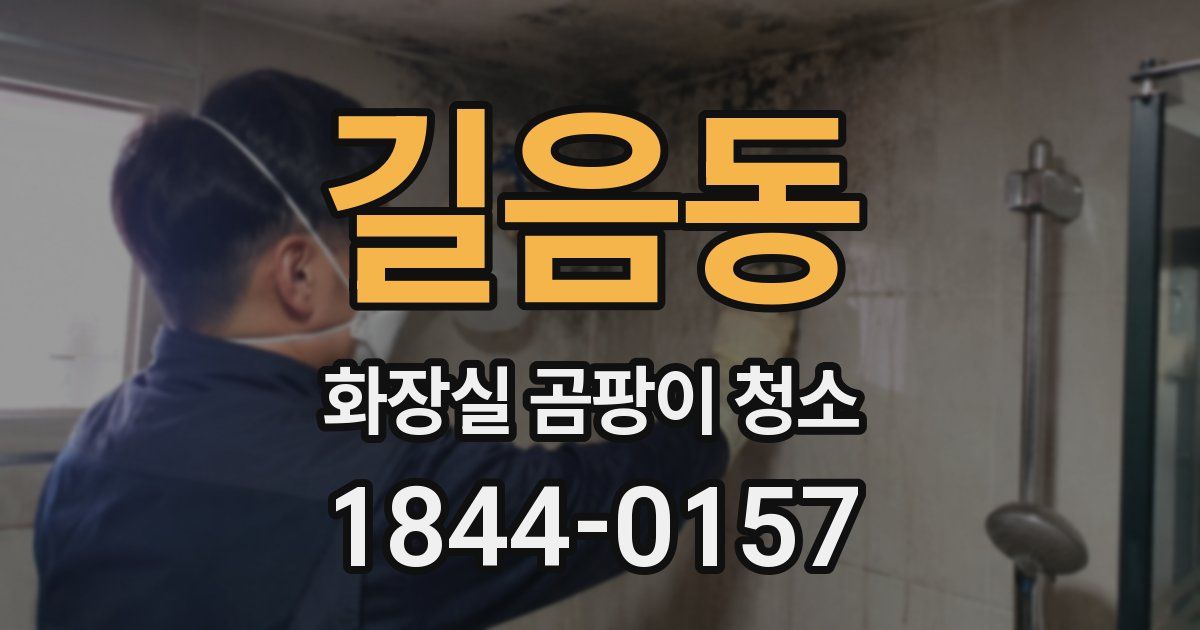 길음동 화장실 곰팡이 청소