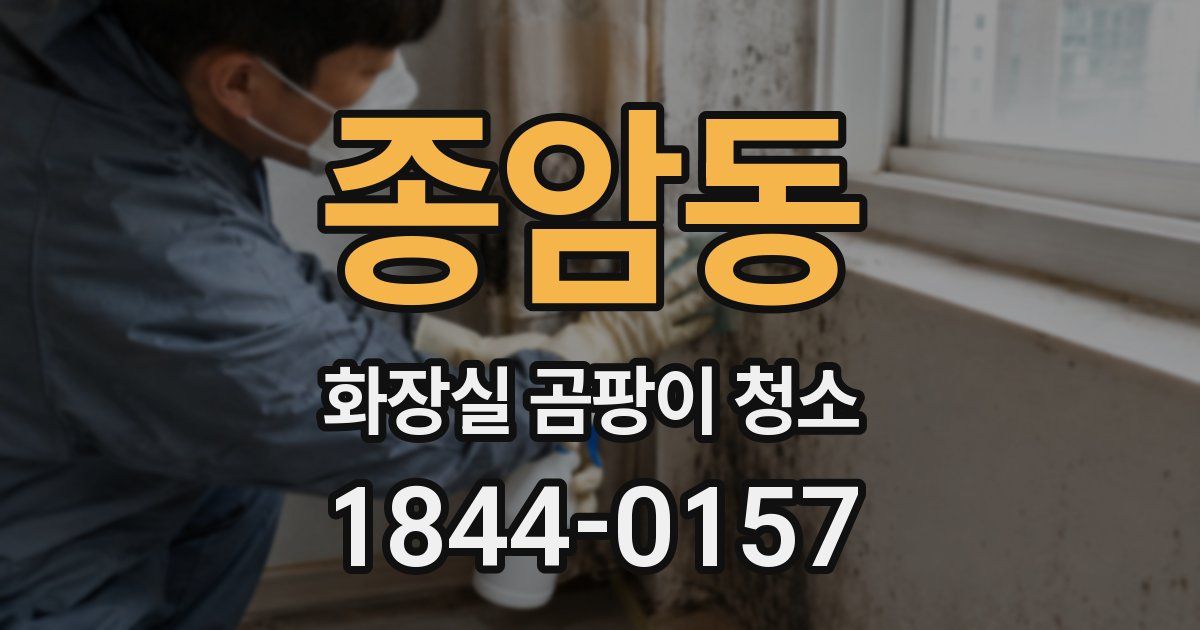 종암동 화장실 곰팡이 청소