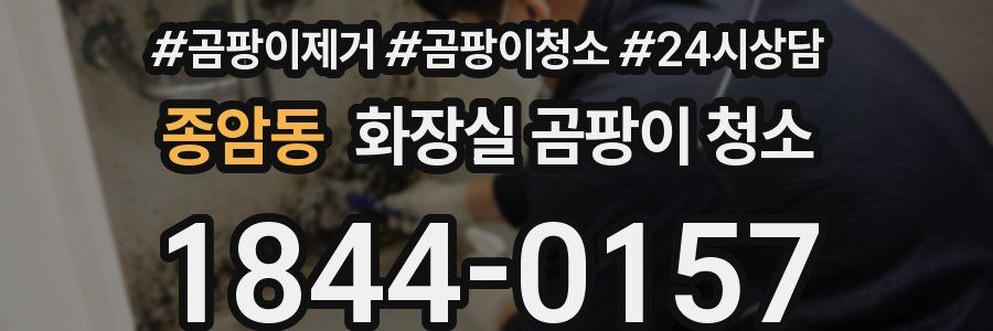 종암동 화장실 곰팡이 청소