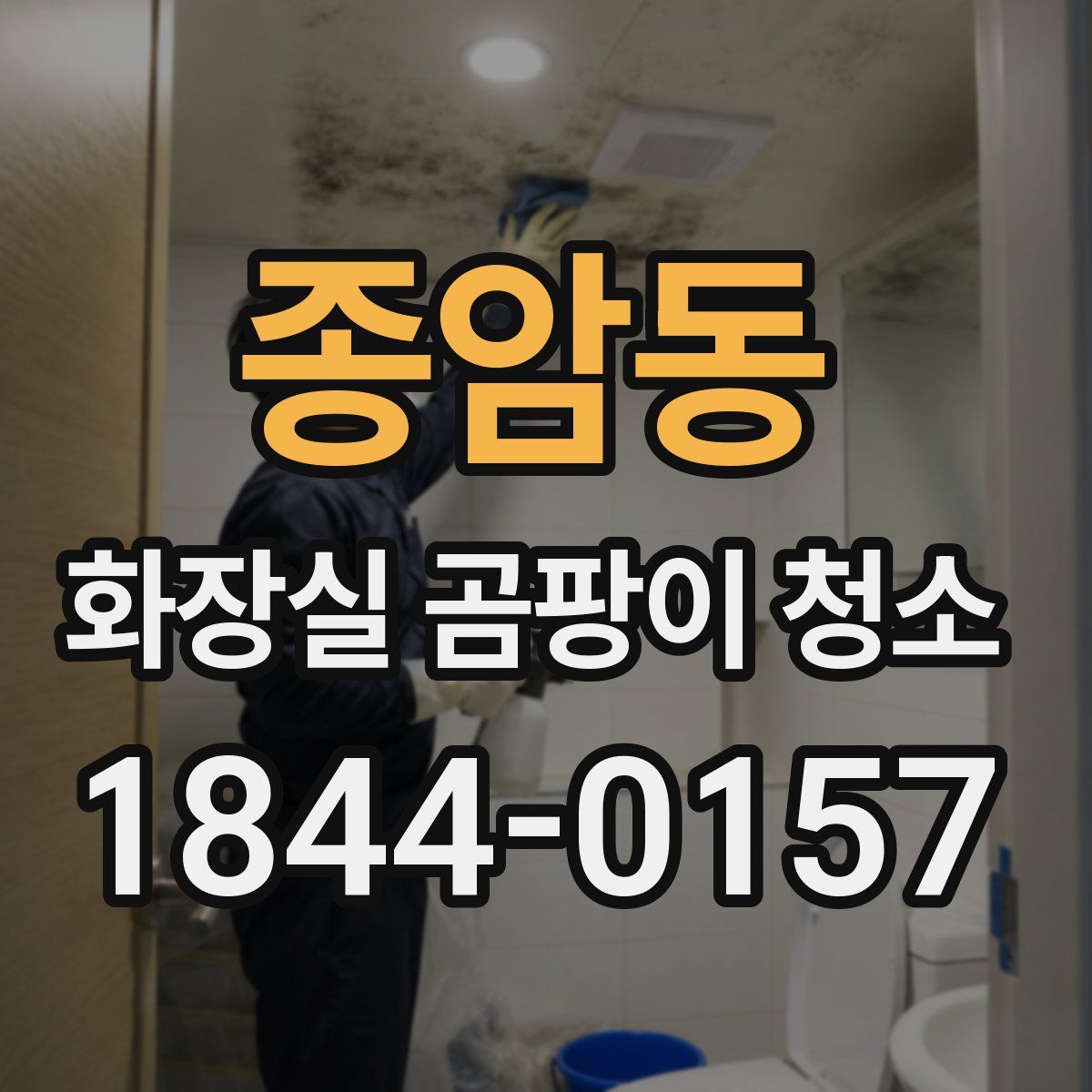 종암동 화장실 곰팡이 청소