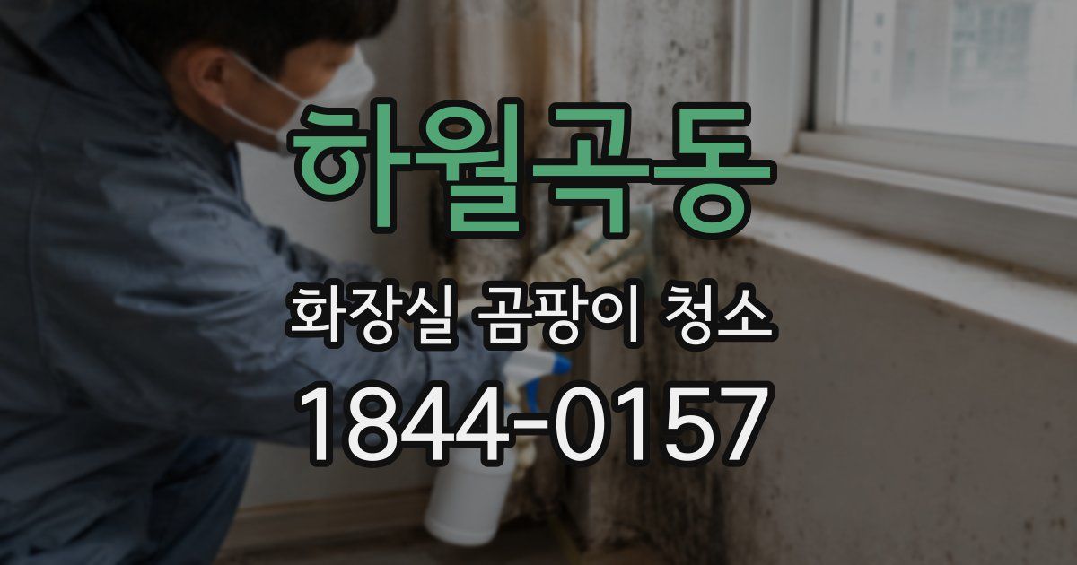 하월곡동 화장실 곰팡이 청소