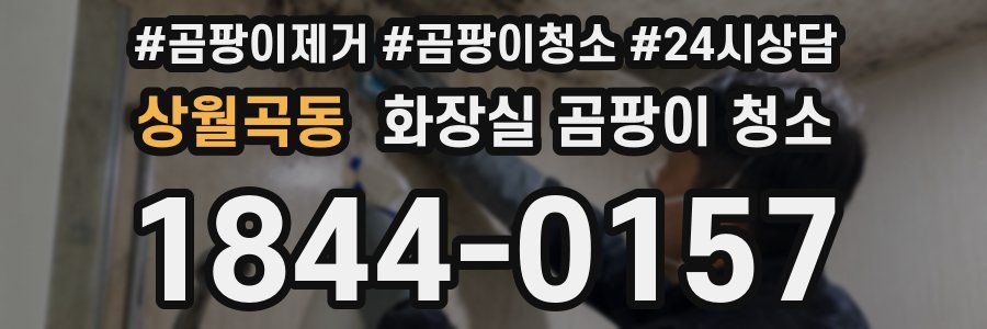 상월곡동 화장실 곰팡이 청소