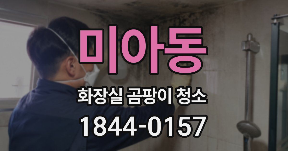 미아동 화장실 곰팡이 청소