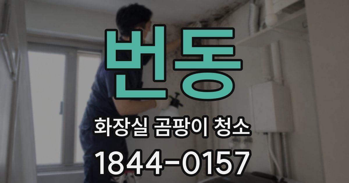 번동 화장실 곰팡이 청소