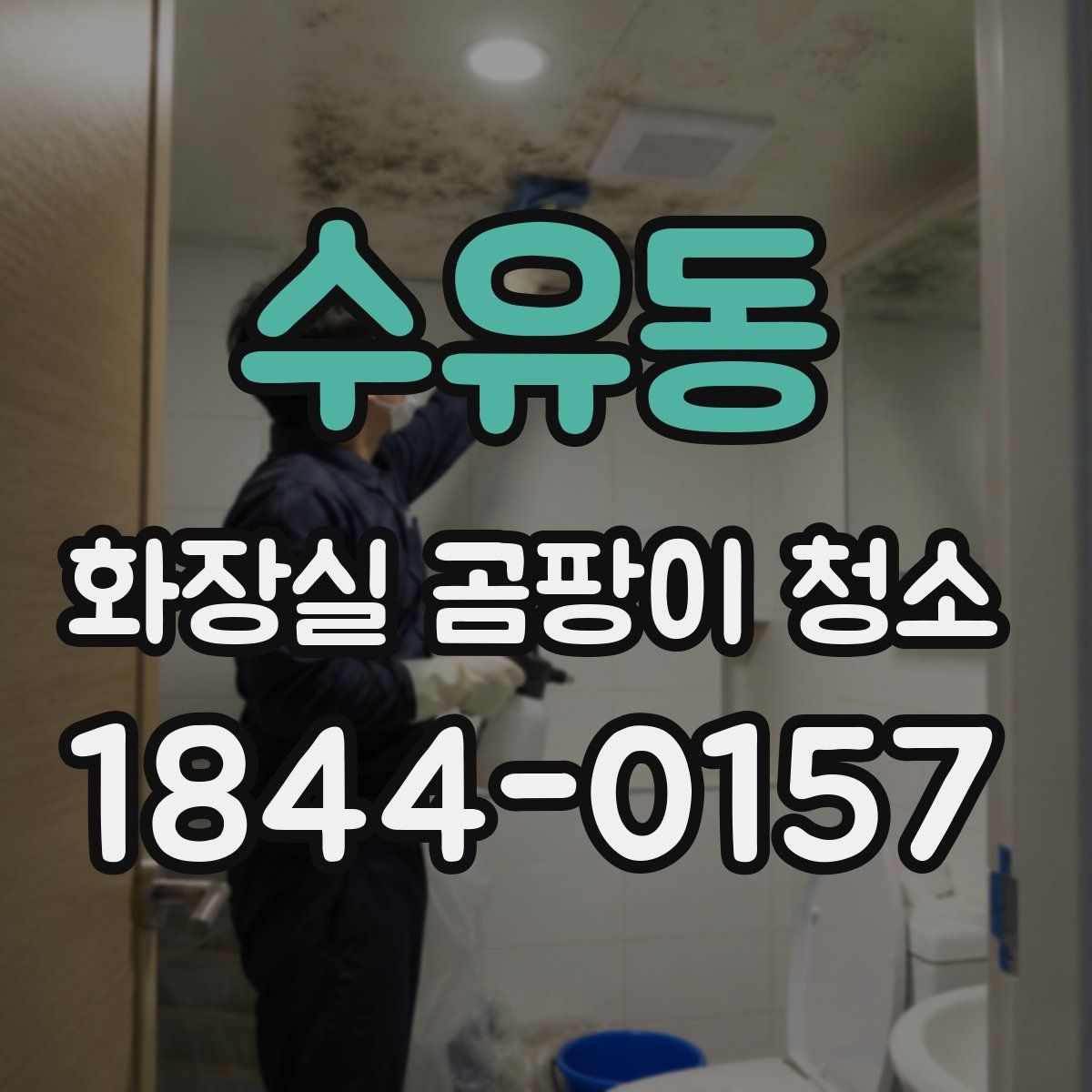 수유동 화장실 곰팡이 청소