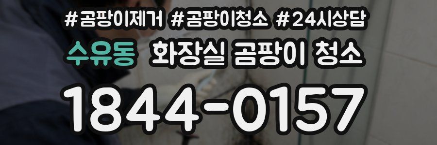 수유동 화장실 곰팡이 청소