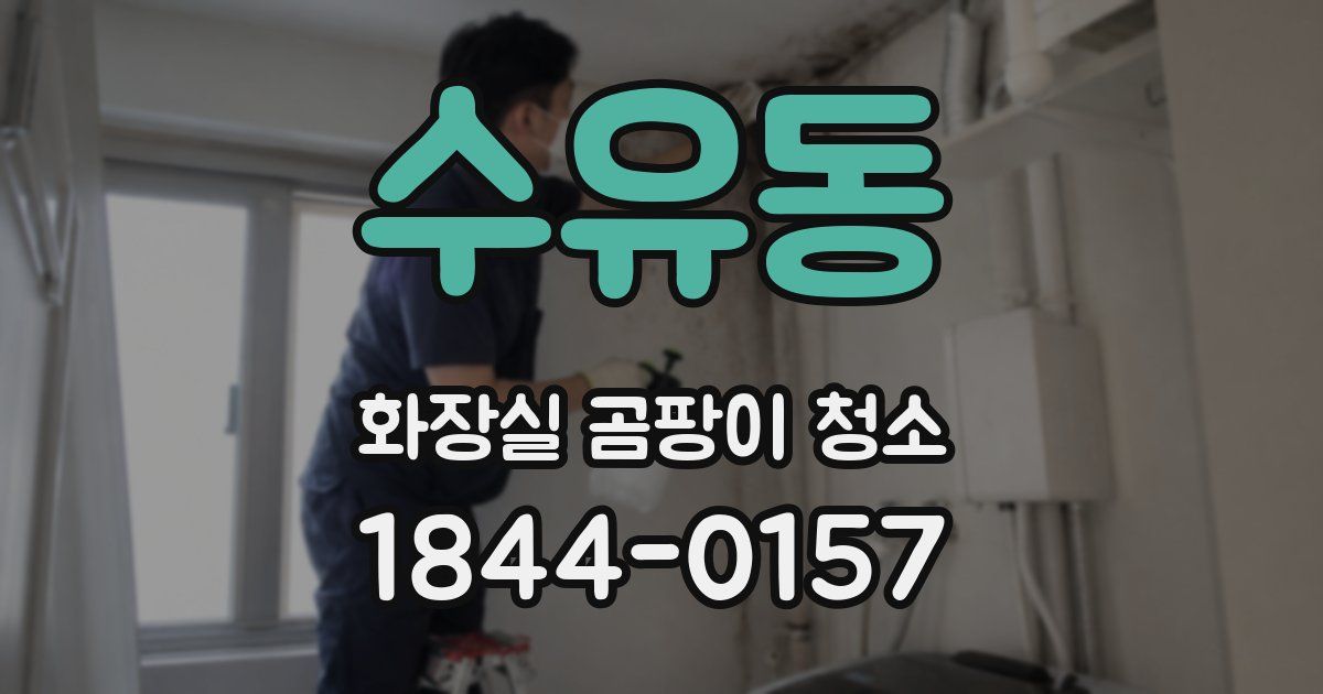 수유동 화장실 곰팡이 청소
