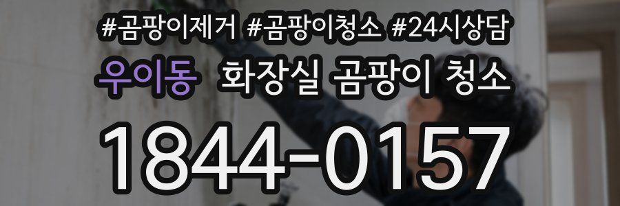 우이동 화장실 곰팡이 청소
