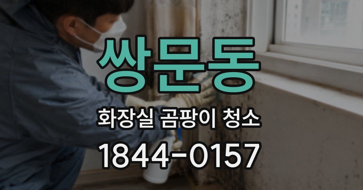 쌍문동 화장실 곰팡이 청소