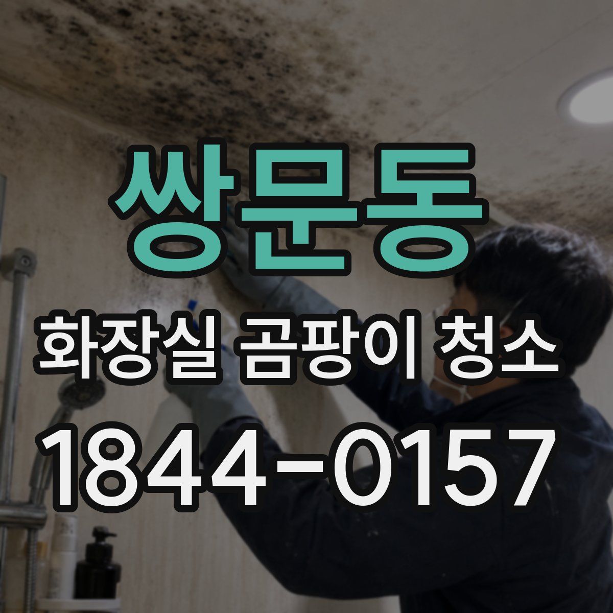 쌍문동 화장실 곰팡이 청소