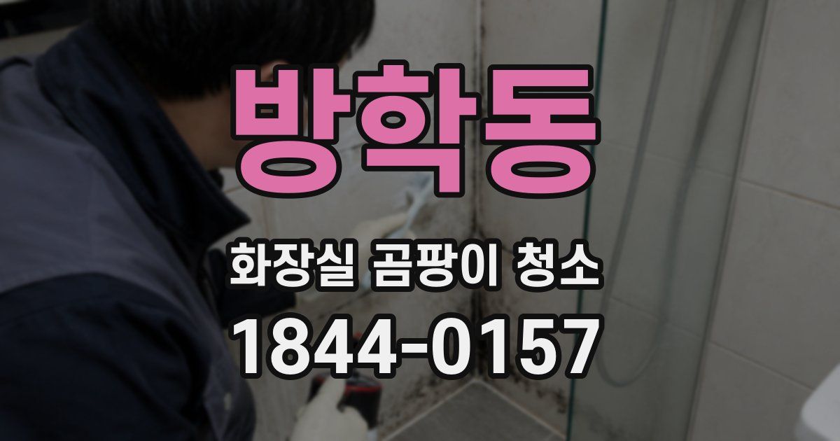 방학동 화장실 곰팡이 청소