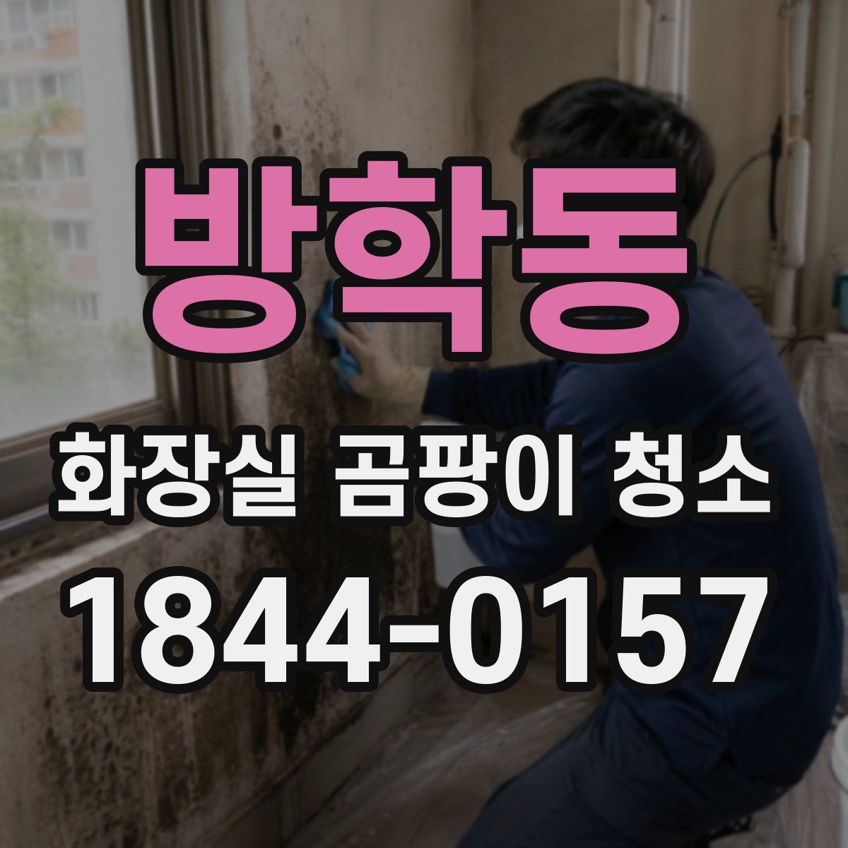 방학동 화장실 곰팡이 청소