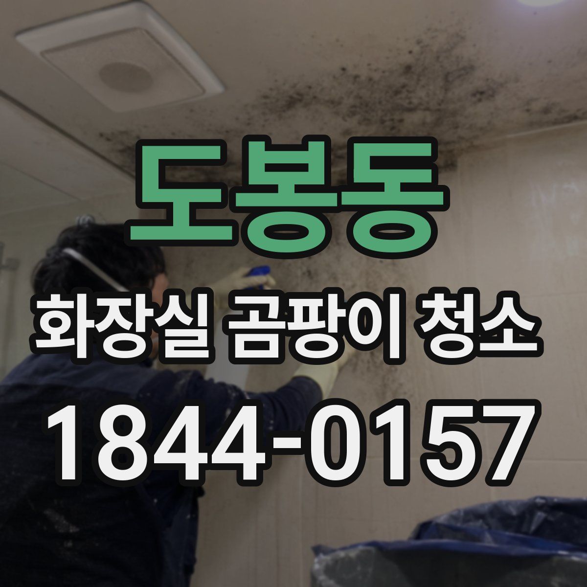도봉동 화장실 곰팡이 청소