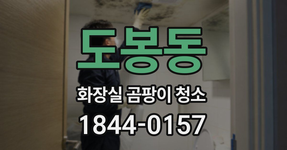 도봉동 화장실 곰팡이 청소