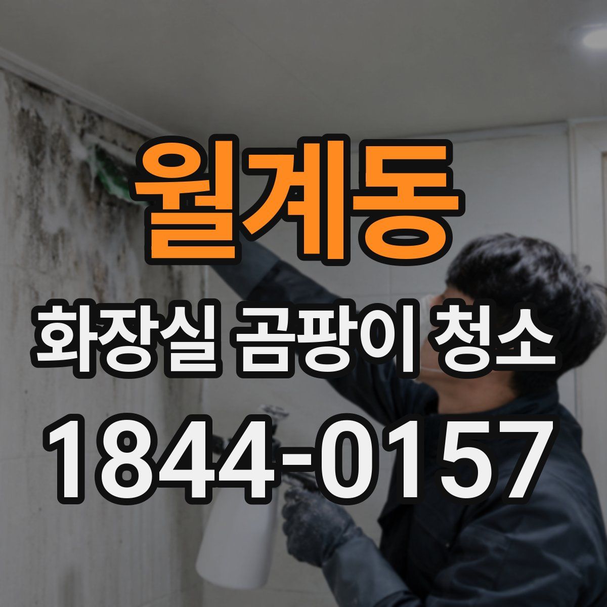 월계동 화장실 곰팡이 청소