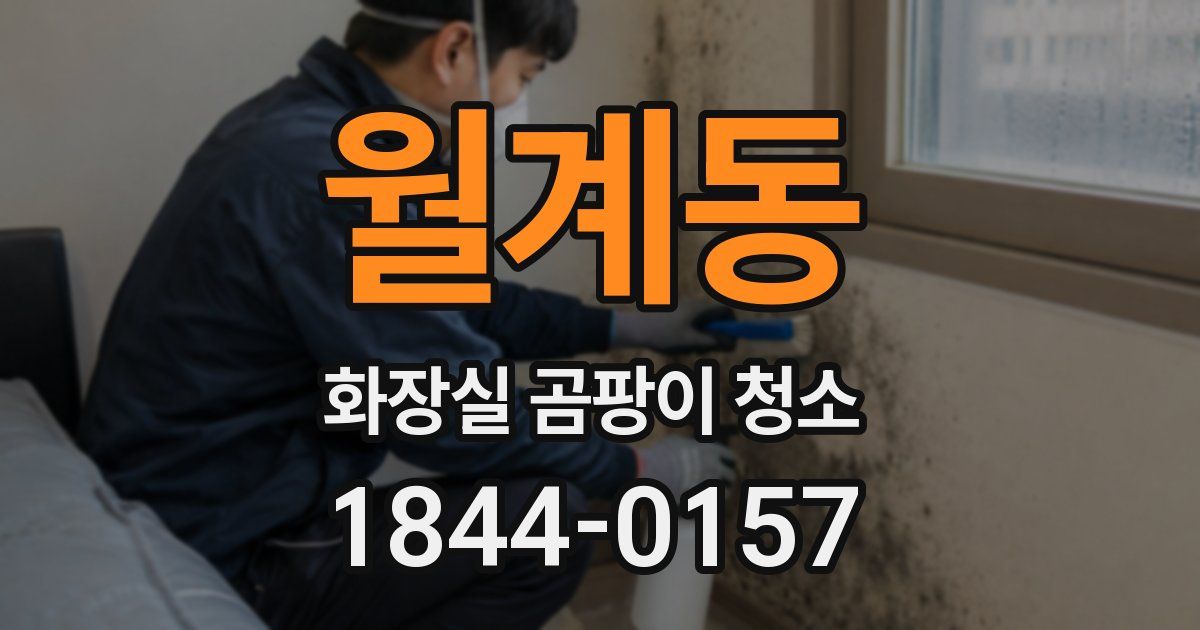 월계동 화장실 곰팡이 청소