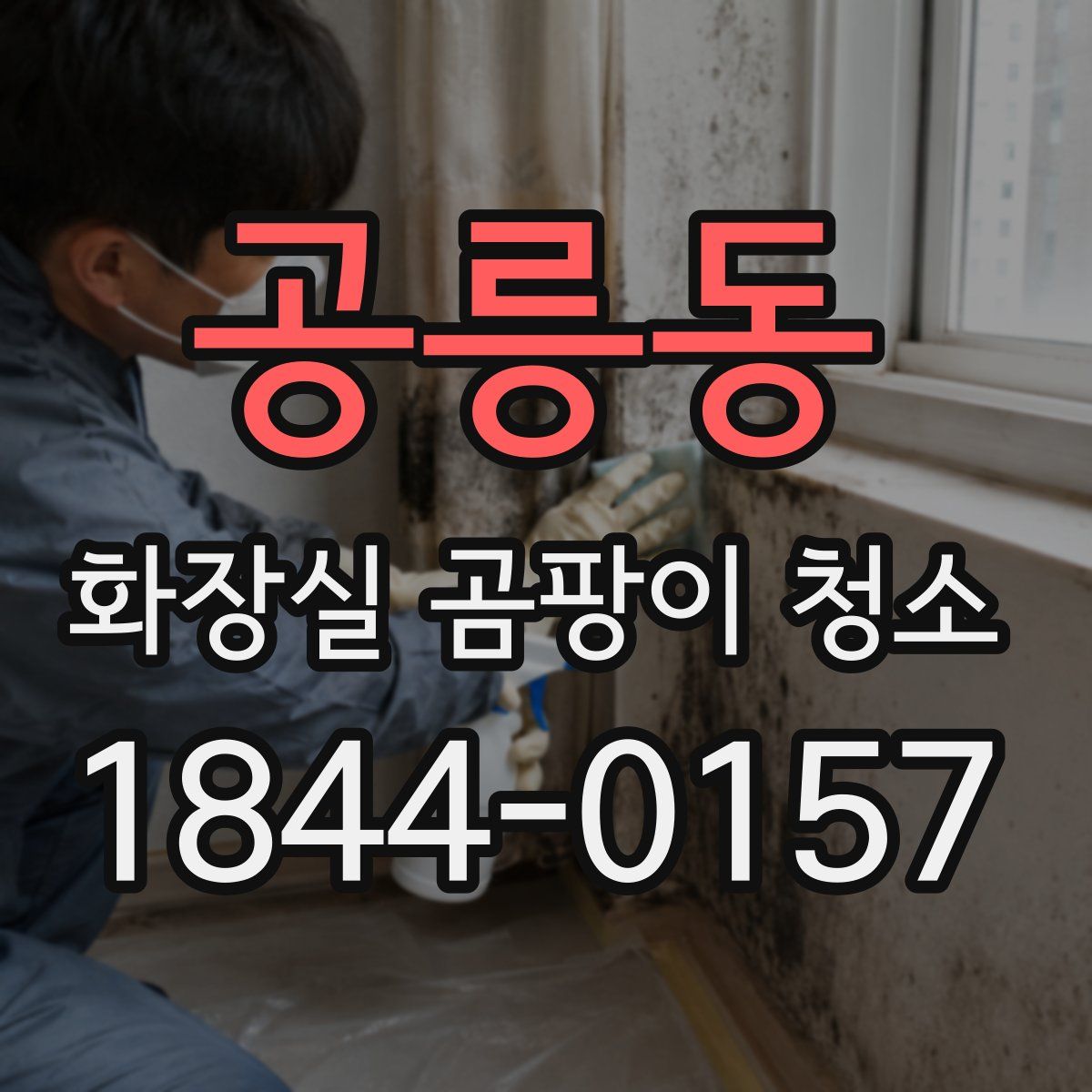공릉동 화장실 곰팡이 청소