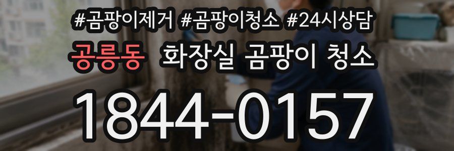 공릉동 화장실 곰팡이 청소