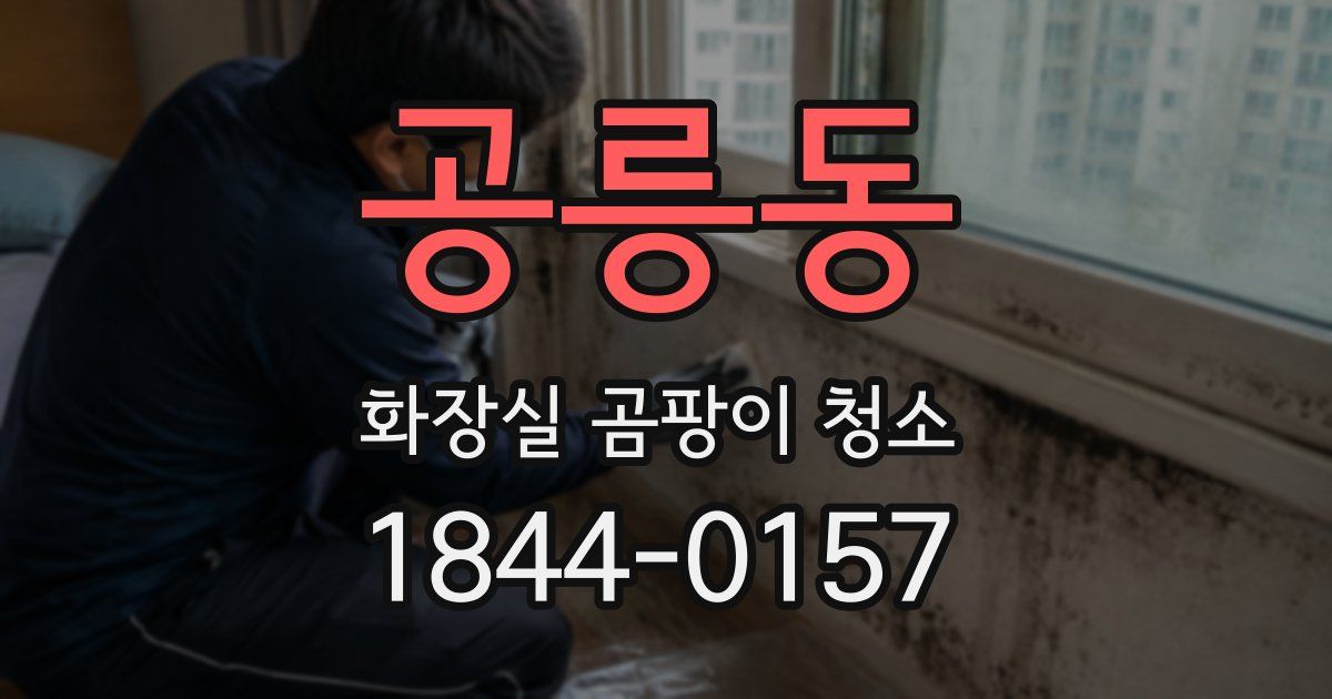 공릉동 화장실 곰팡이 청소