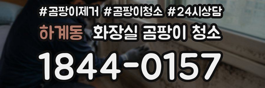 하계동 화장실 곰팡이 청소