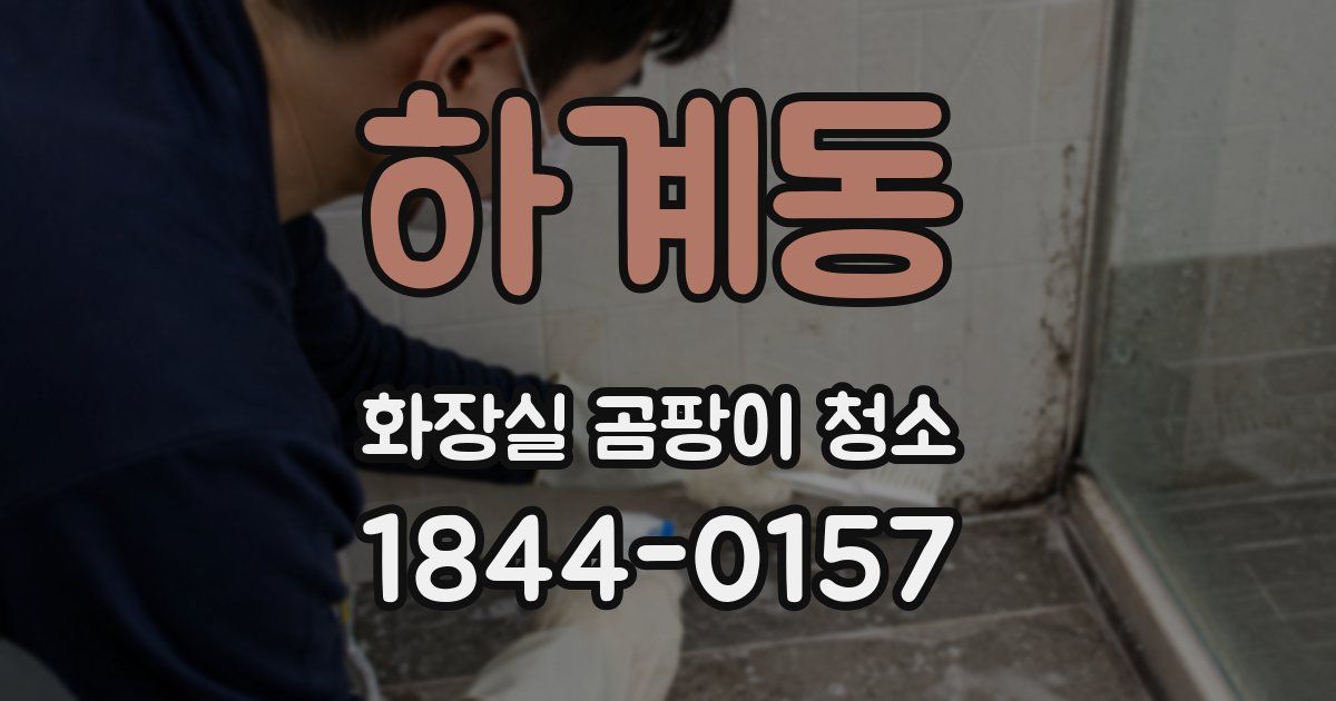 하계동 화장실 곰팡이 청소