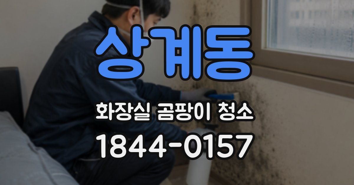 상계동 화장실 곰팡이 청소