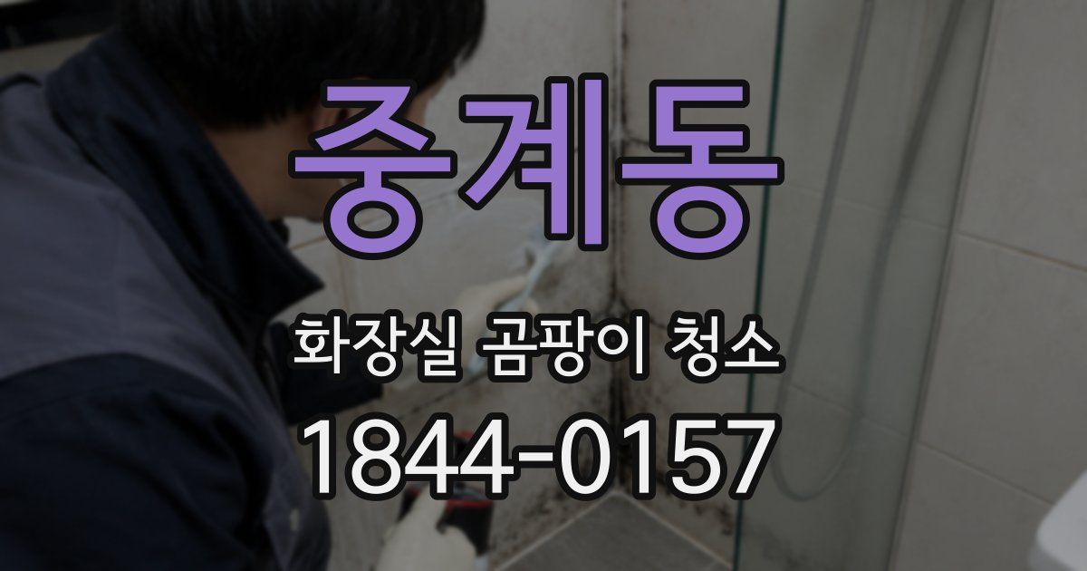 중계동 화장실 곰팡이 청소