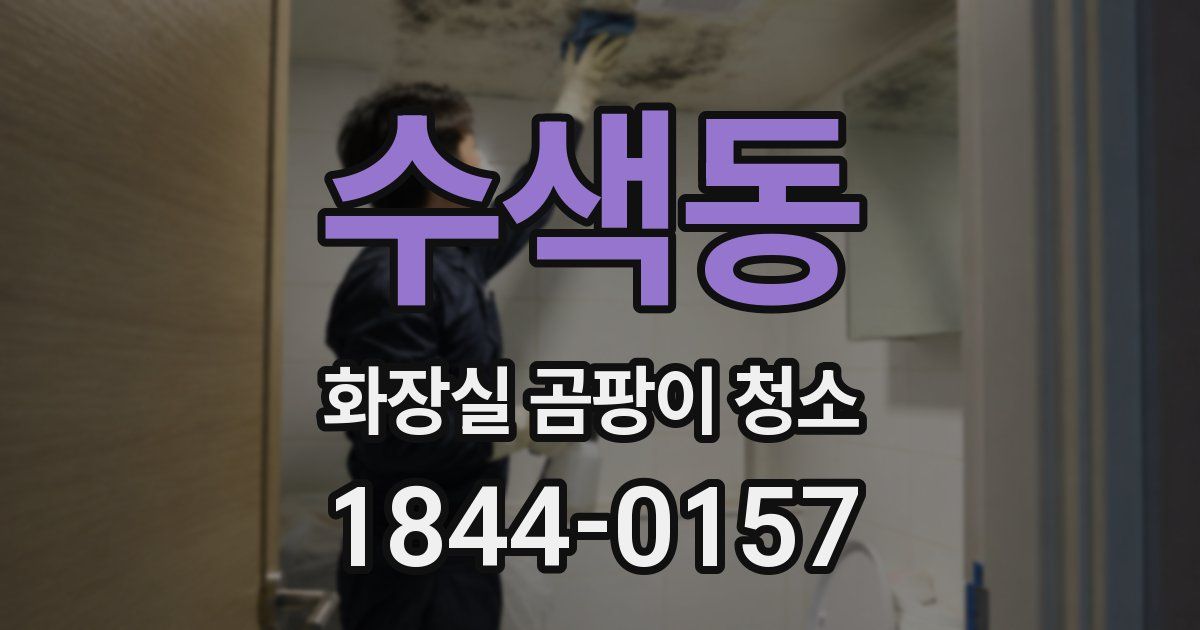 수색동 화장실 곰팡이 청소