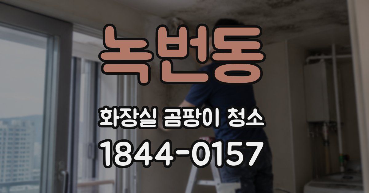 녹번동 화장실 곰팡이 청소