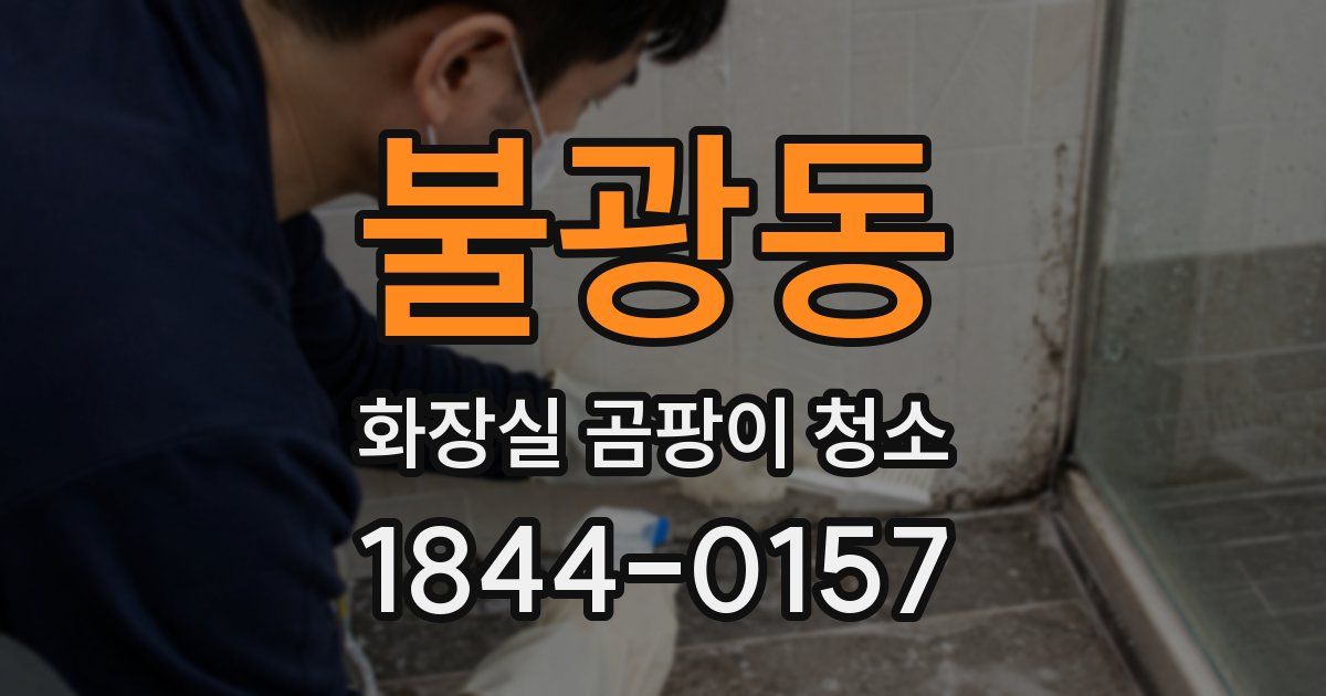 불광동 화장실 곰팡이 청소