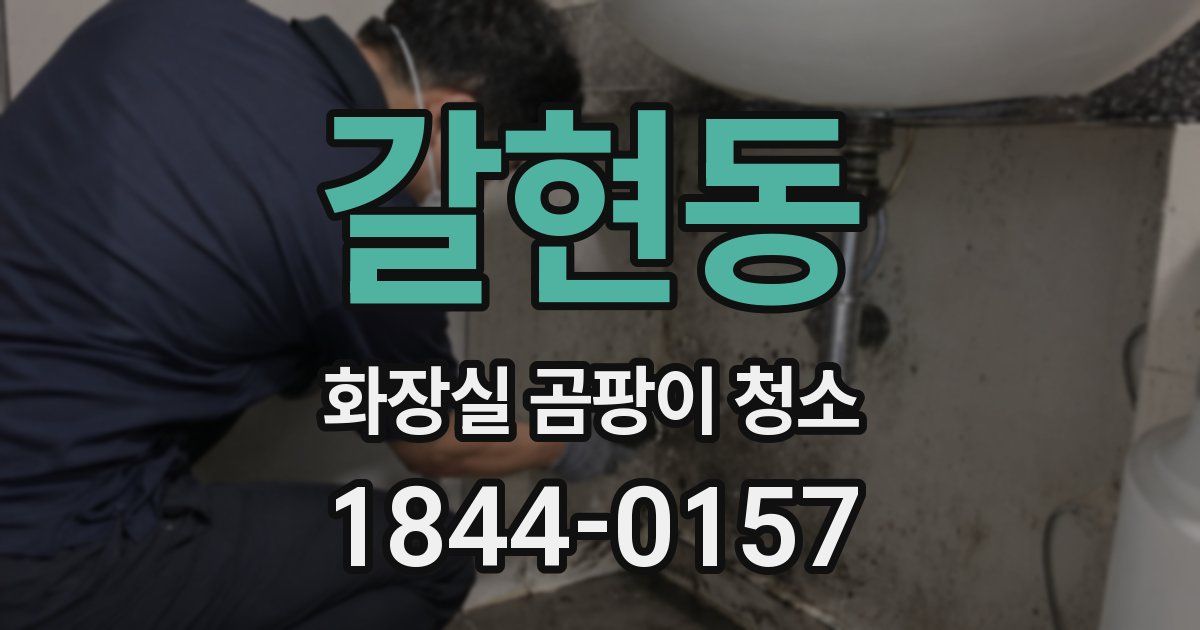 갈현동 화장실 곰팡이 청소
