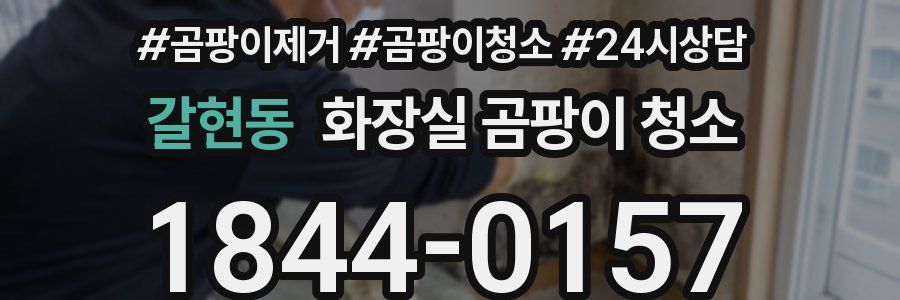갈현동 화장실 곰팡이 청소