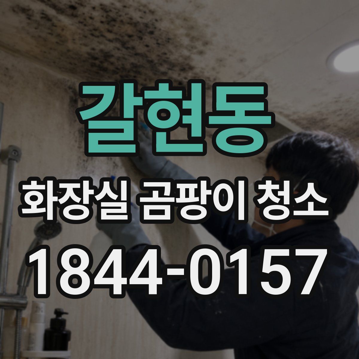 갈현동 화장실 곰팡이 청소