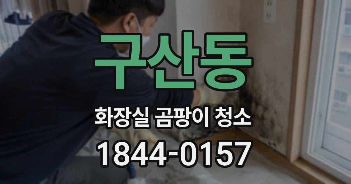 구산동 화장실 곰팡이 청소