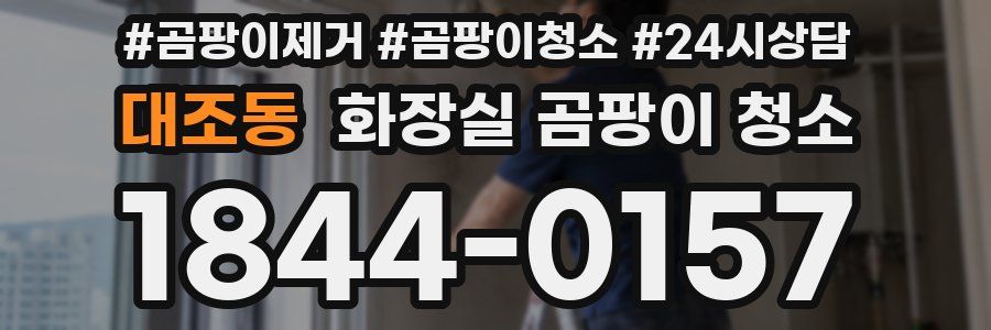 대조동 화장실 곰팡이 청소