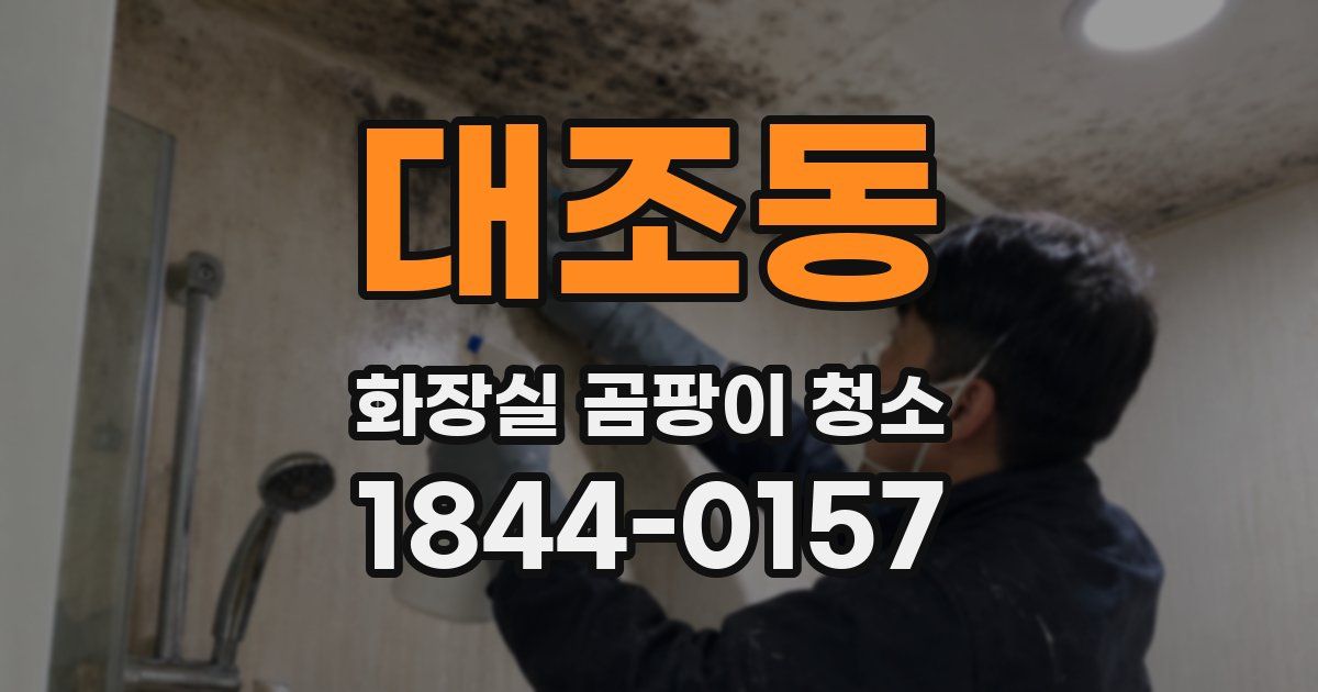 대조동 화장실 곰팡이 청소