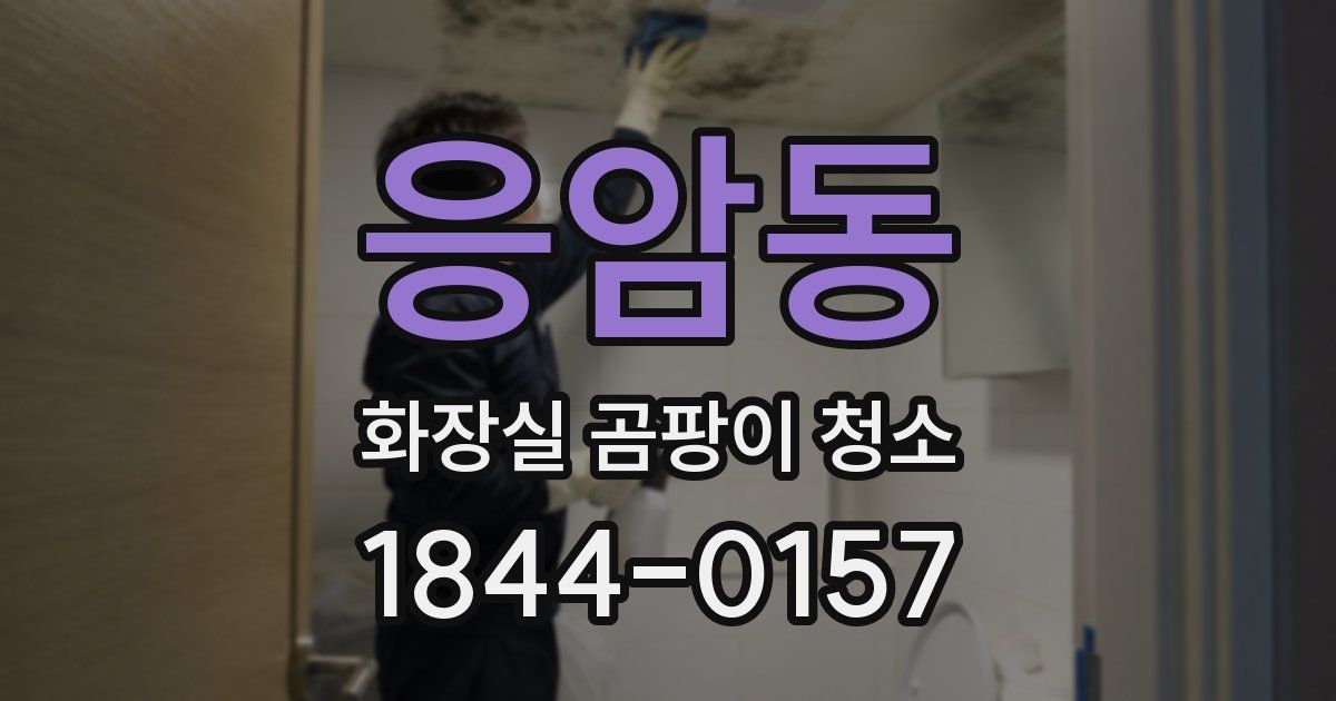 응암동 화장실 곰팡이 청소