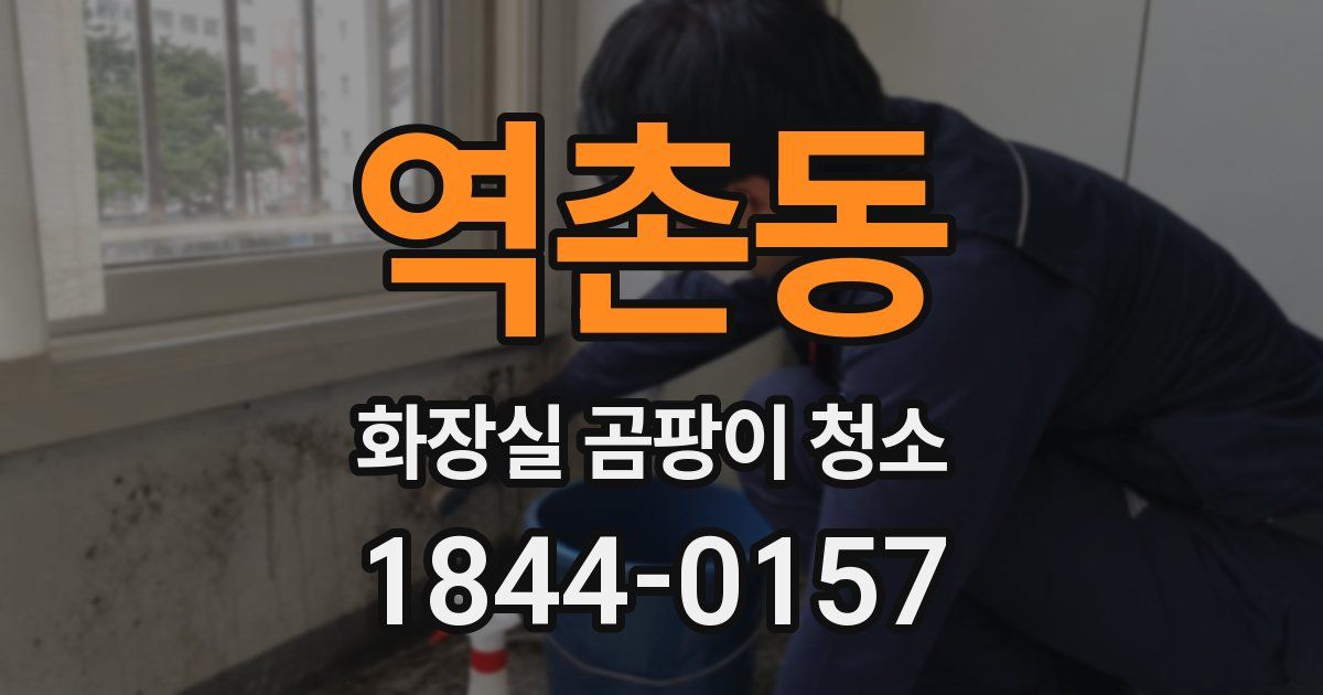 역촌동 화장실 곰팡이 청소