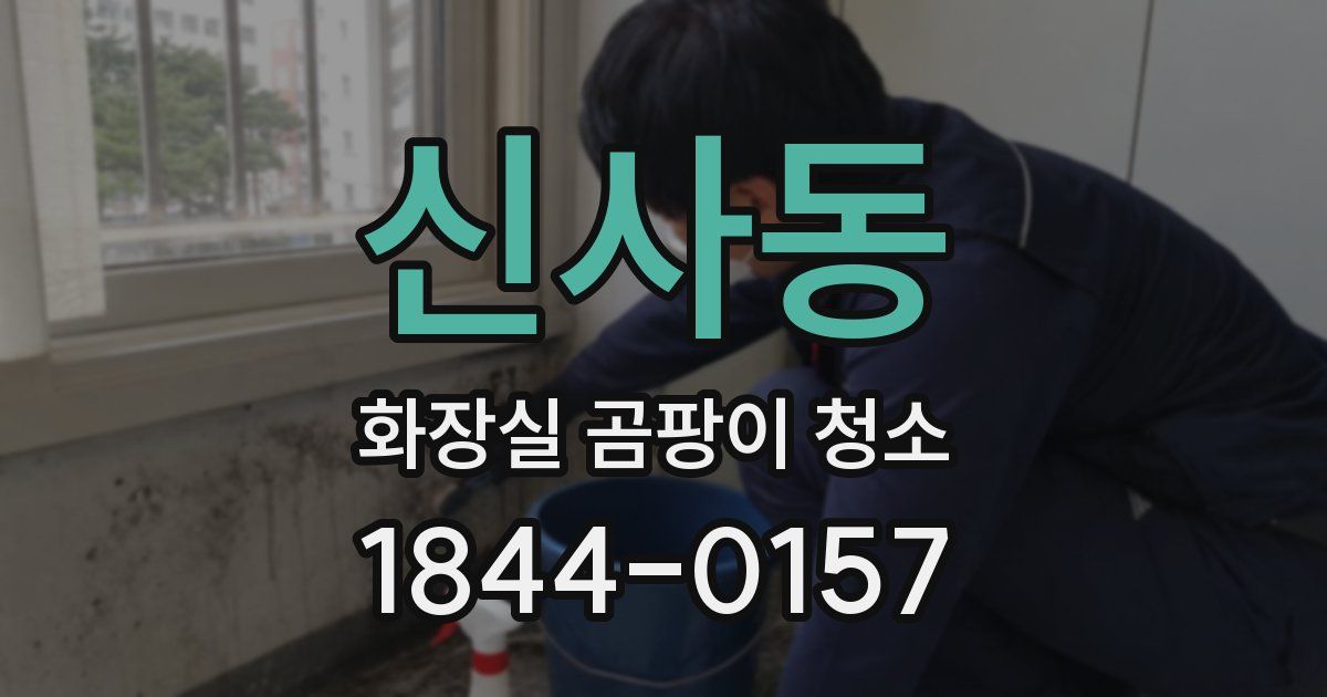 신사동 화장실 곰팡이 청소