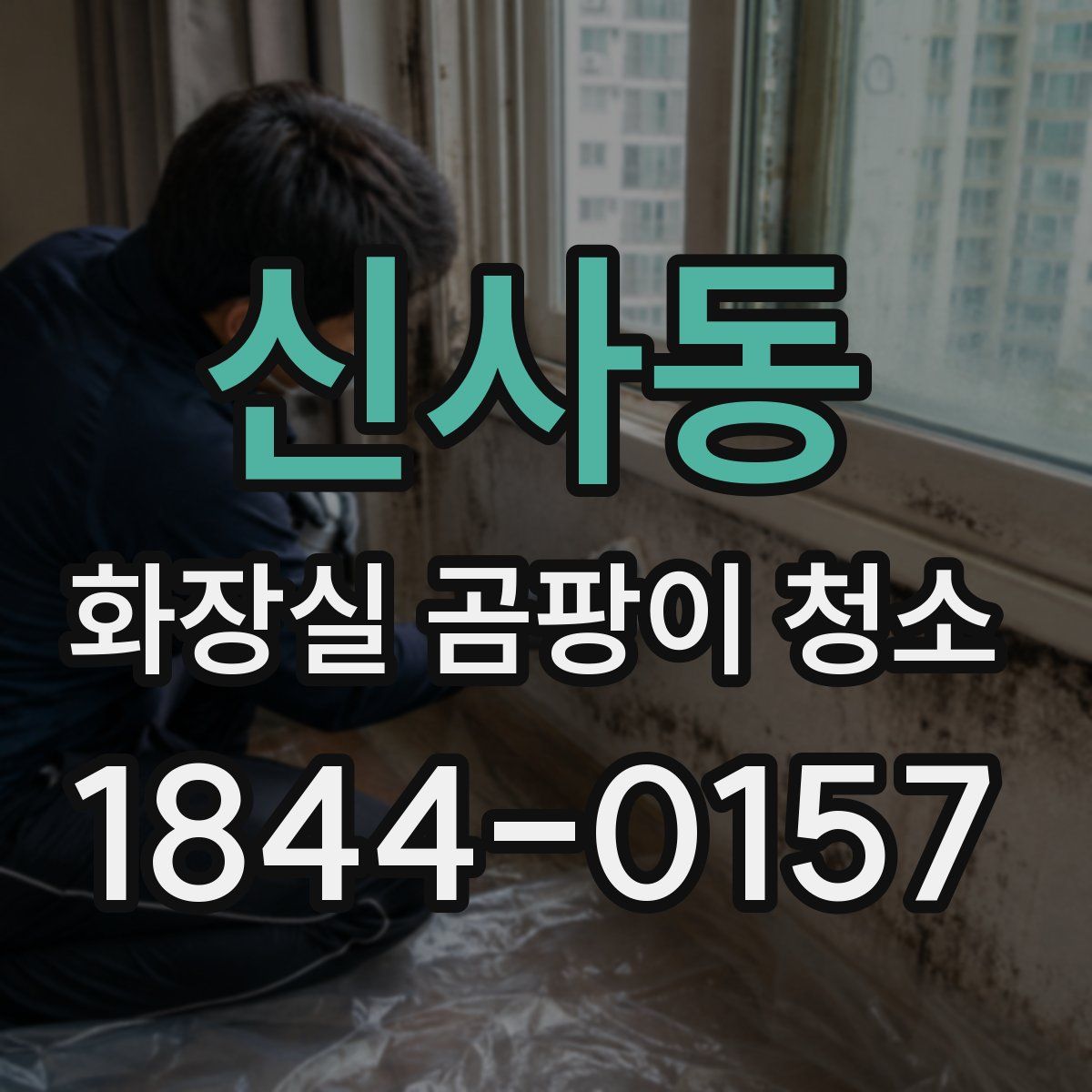 신사동 화장실 곰팡이 청소