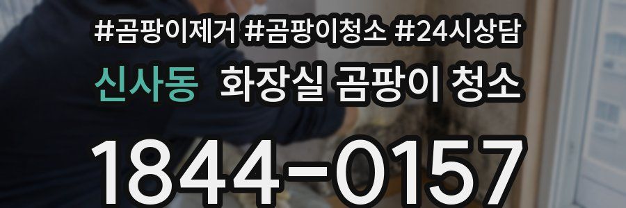 신사동 화장실 곰팡이 청소
