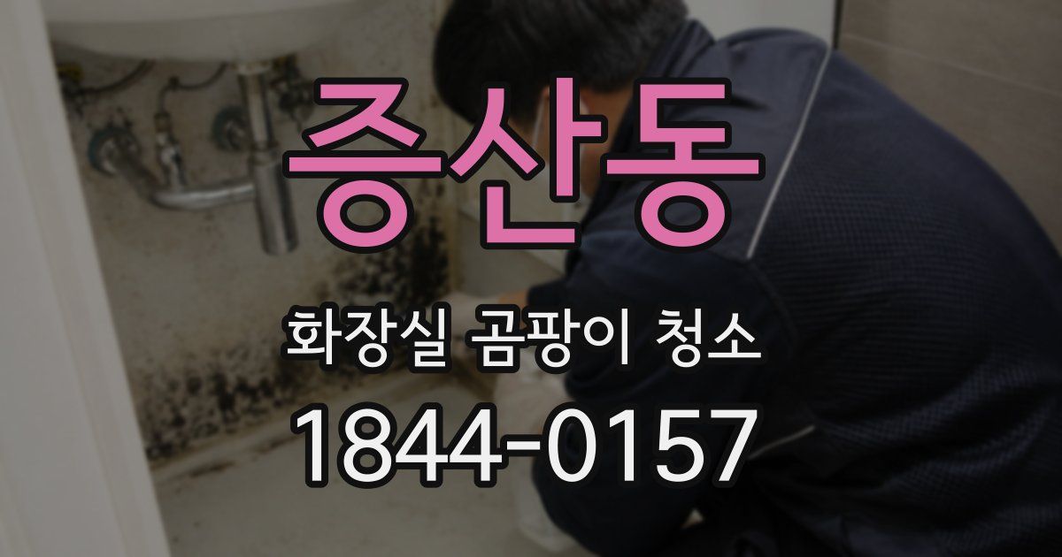 증산동 화장실 곰팡이 청소