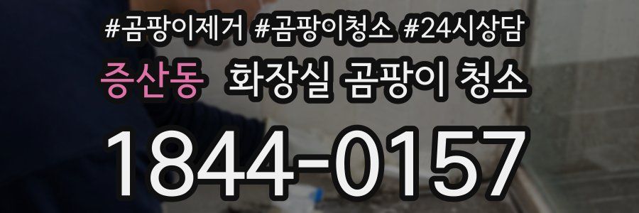증산동 화장실 곰팡이 청소