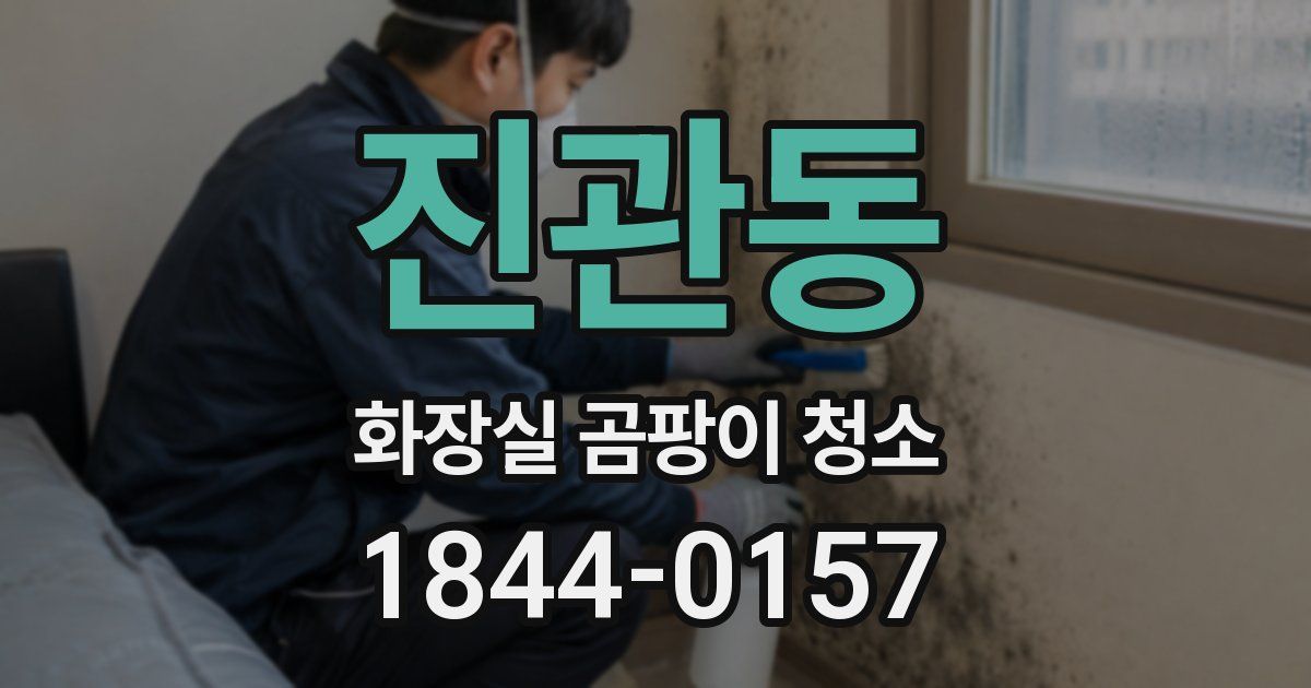 진관동 화장실 곰팡이 청소
