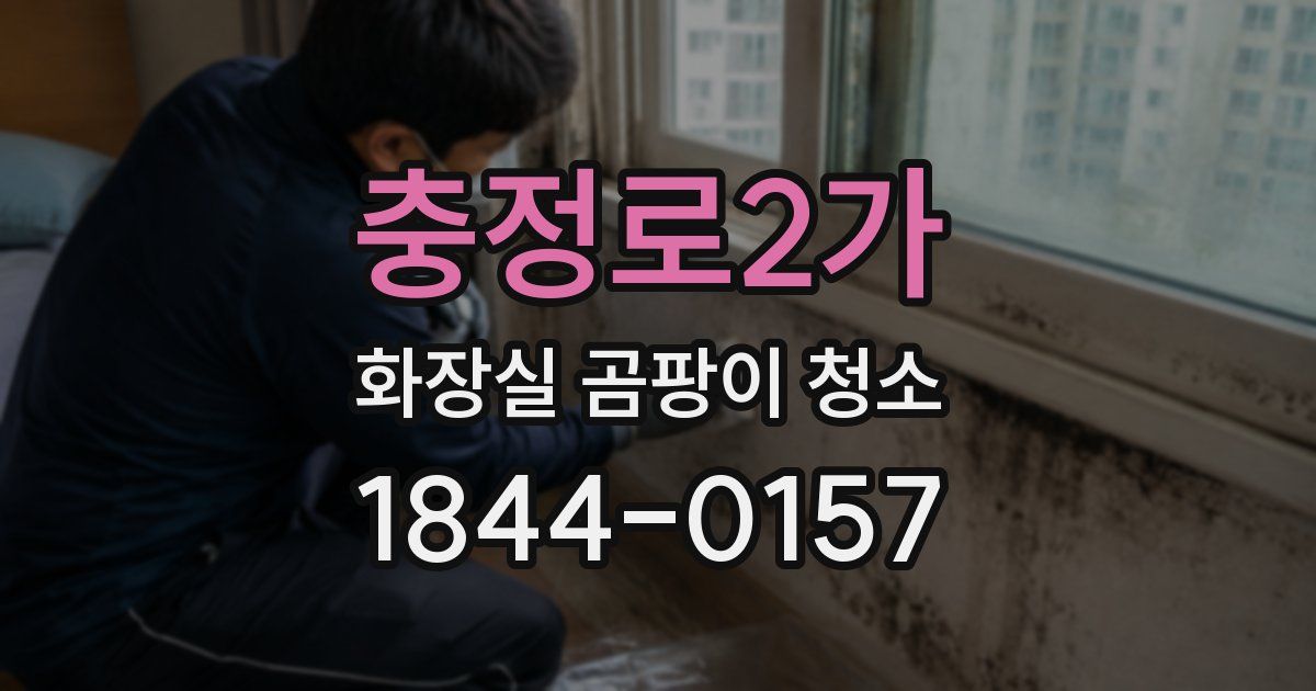 충정로2가 화장실 곰팡이 청소
