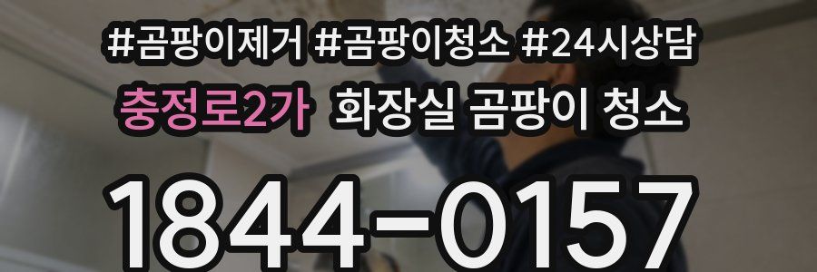 충정로2가 화장실 곰팡이 청소