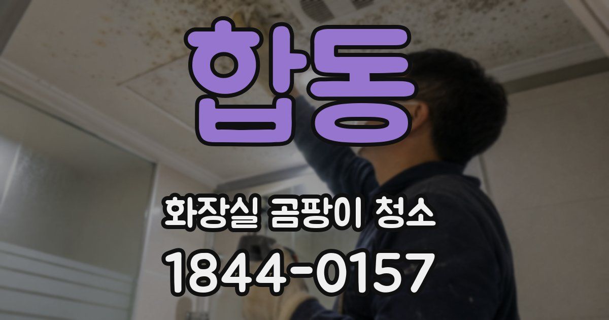 합동 화장실 곰팡이 청소
