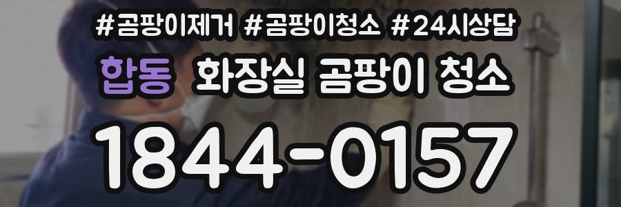 합동 화장실 곰팡이 청소
