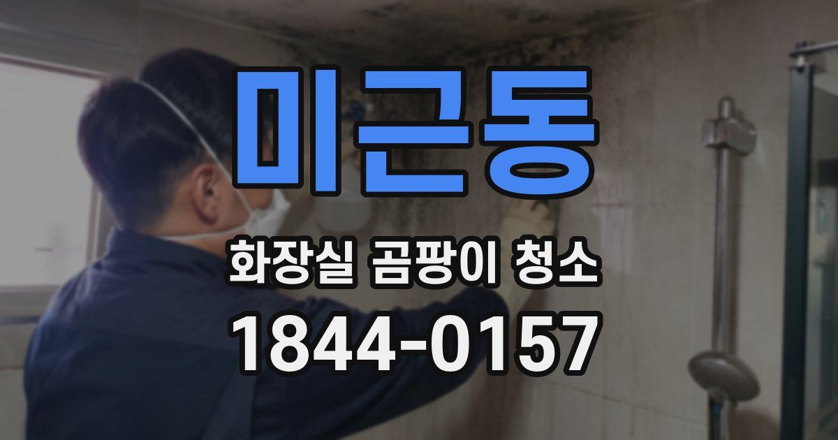 미근동 화장실 곰팡이 청소